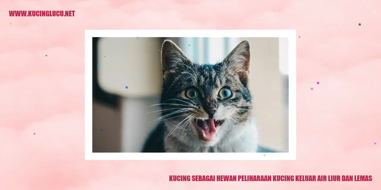 Gambar kucing peliharaan