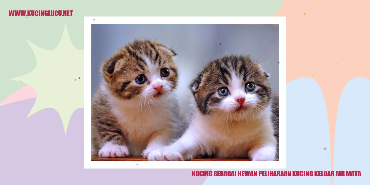 Kucing sebagai Hewan Peliharaan yang Mengharukan