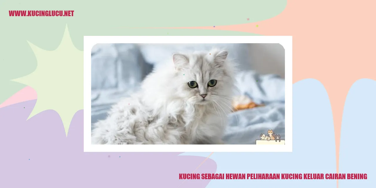 Gambar kucing mengeluarkan cairan bening