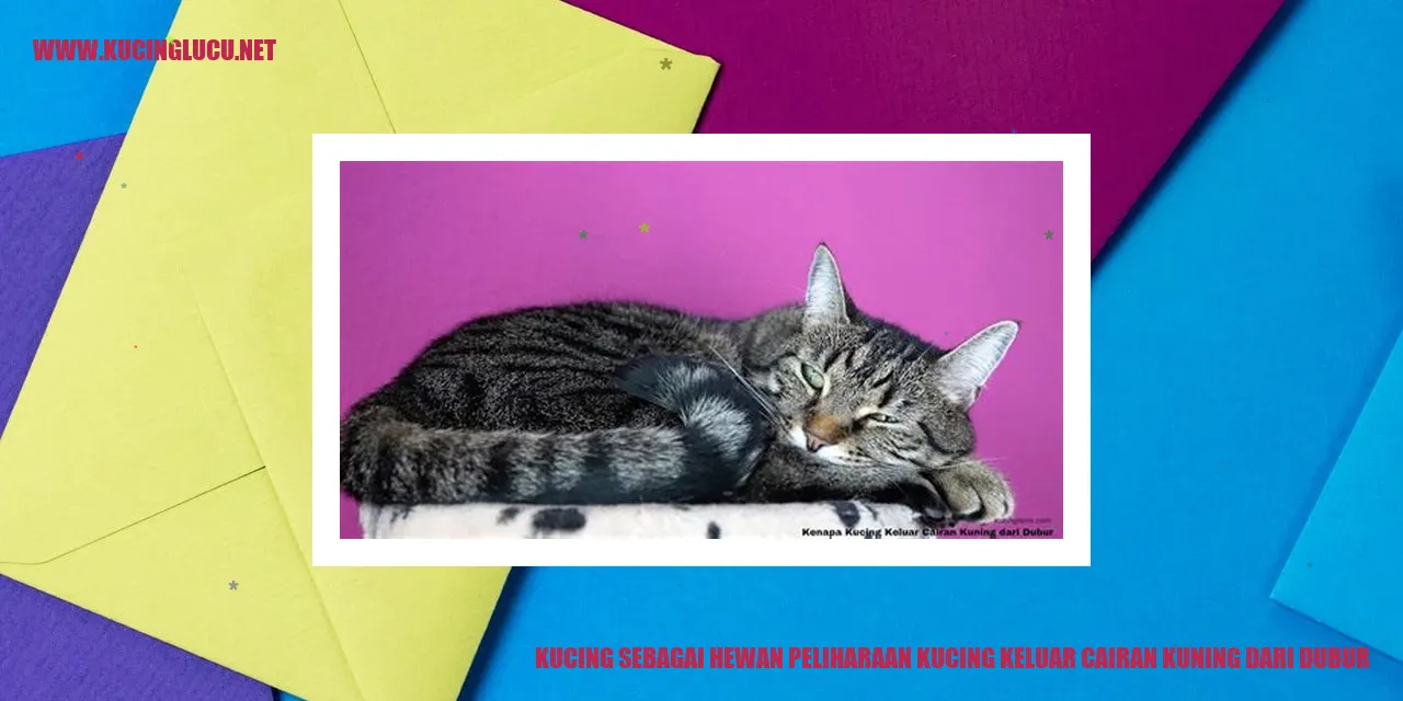 Gambar kucing