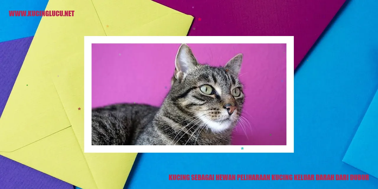 Kucing sebagai Hewan Peliharaan