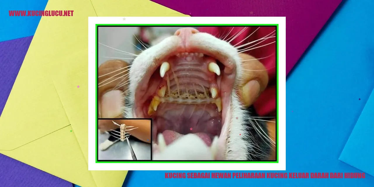 Potret Menggemaskan Kucing Peliharaan