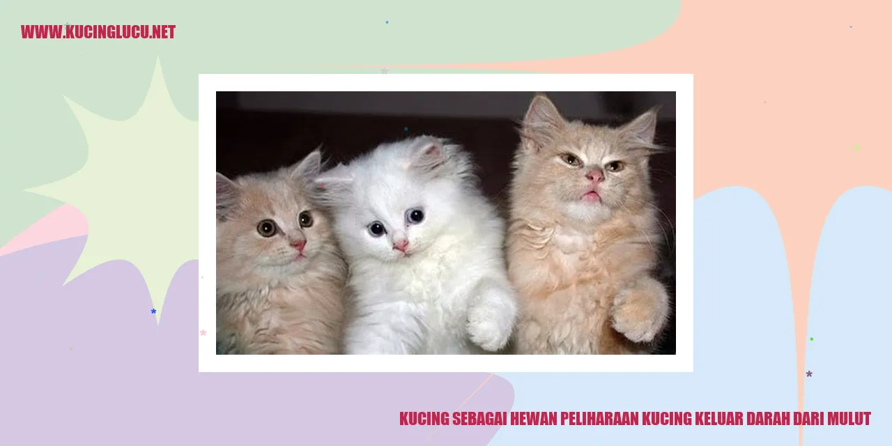 Kucing sebagai Hewan Peliharaan kucing keluar darah dari mulut
