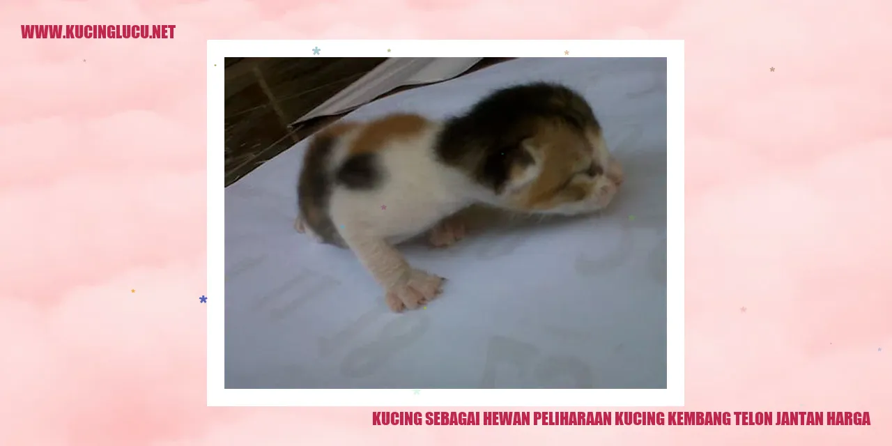 Kucing sebagai Hewan Peliharaan