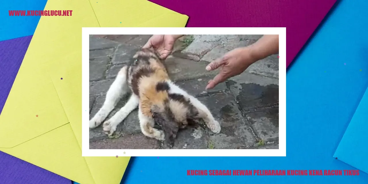 Keceriaan kucing dalam menangani tikus