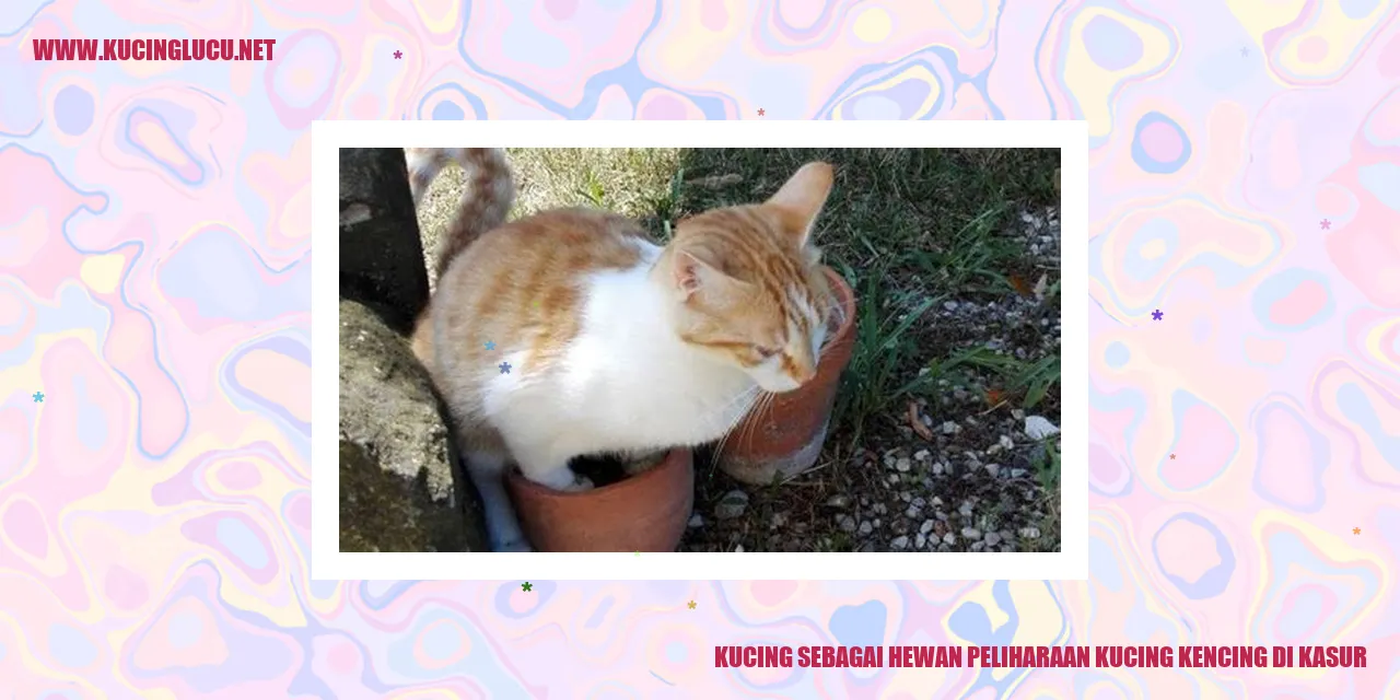 Kucing sebagai Hewan Peliharaan kucing kencing di kasur