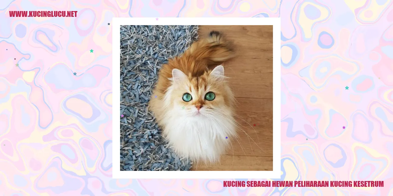 Kucing Lucu