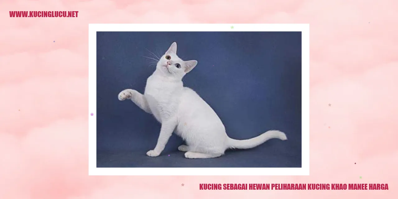 Kucing Khao Manee