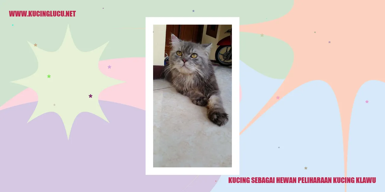 Gambar kucing yang menggemaskan