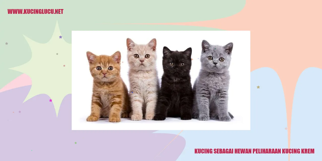 Gambar kucing krem