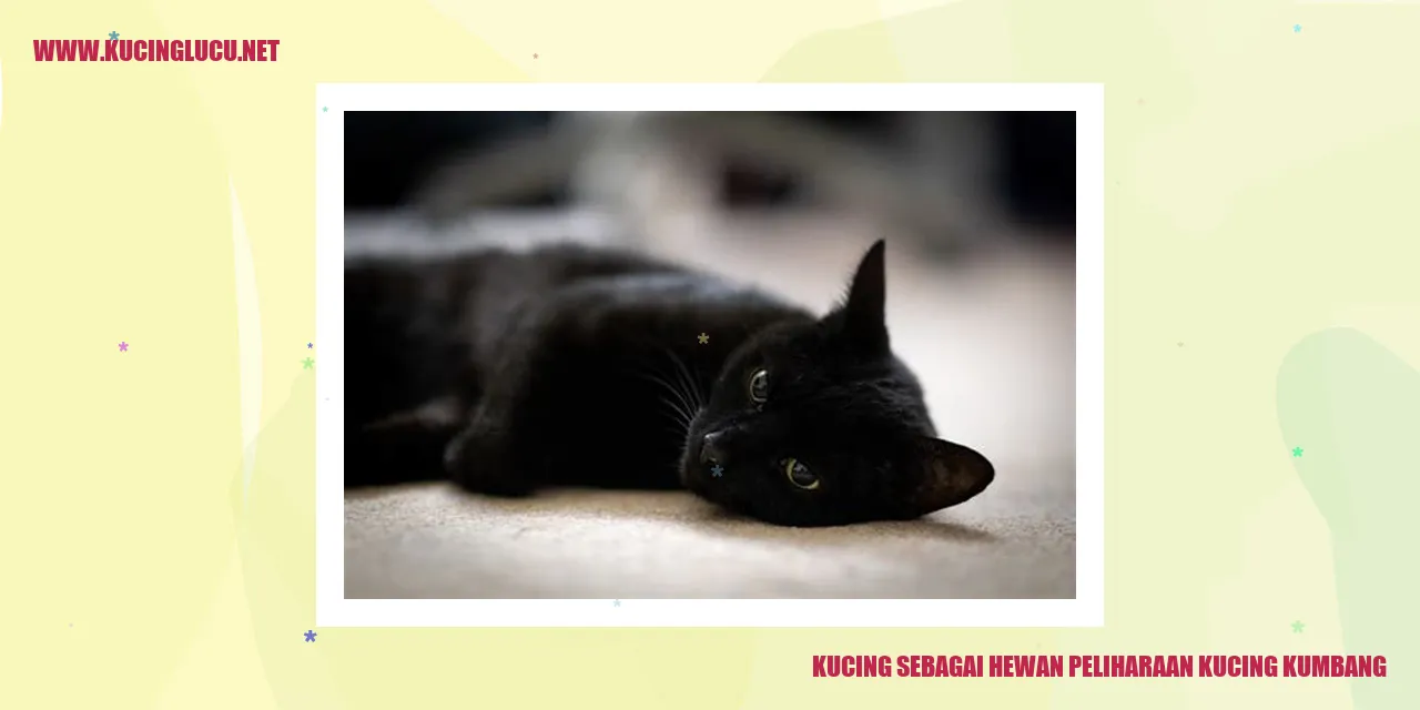 Kucing sebagai Hewan Peliharaan yang Menggemaskan