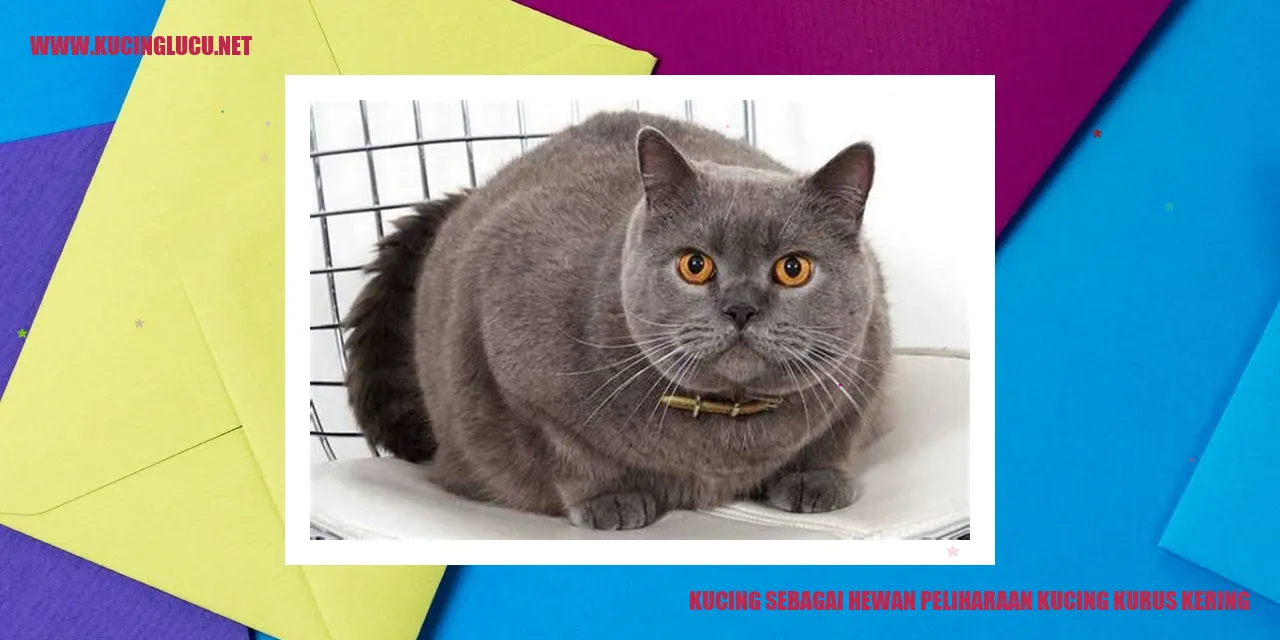 Kucing Kurus Kering
