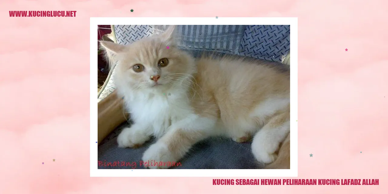 Kucing sebagai Hewan Peliharaan
