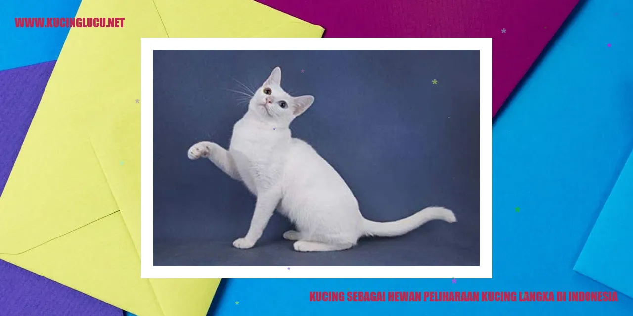Kucing Peliharaan Indonesia