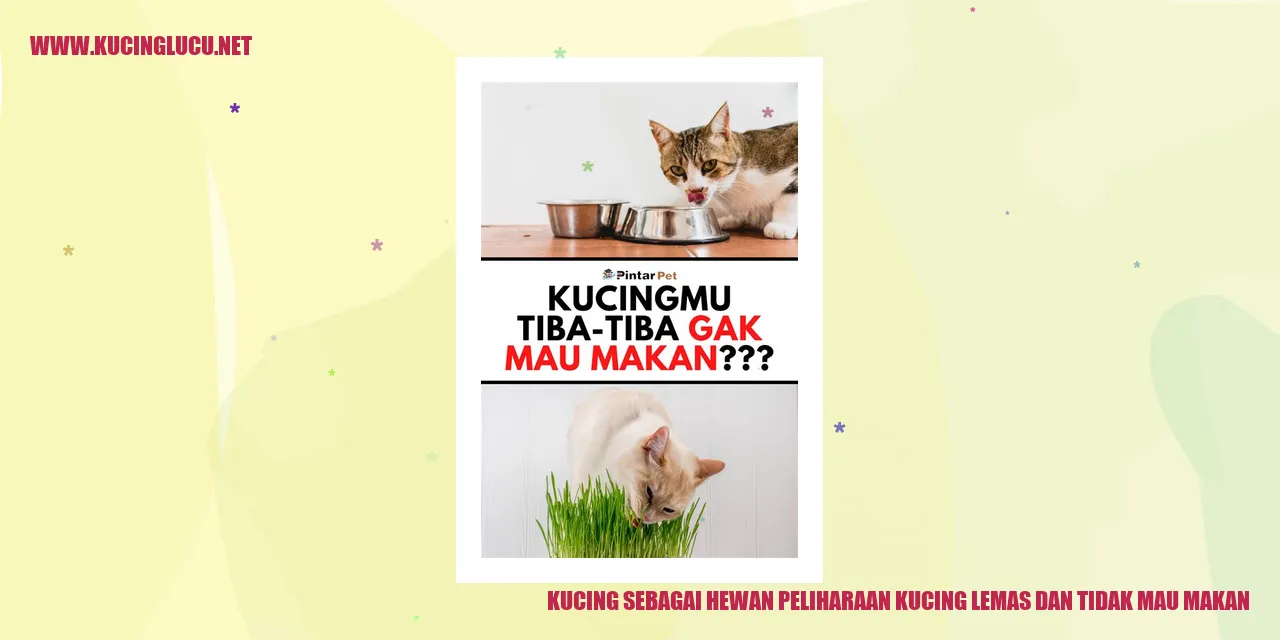 Gambar kucing