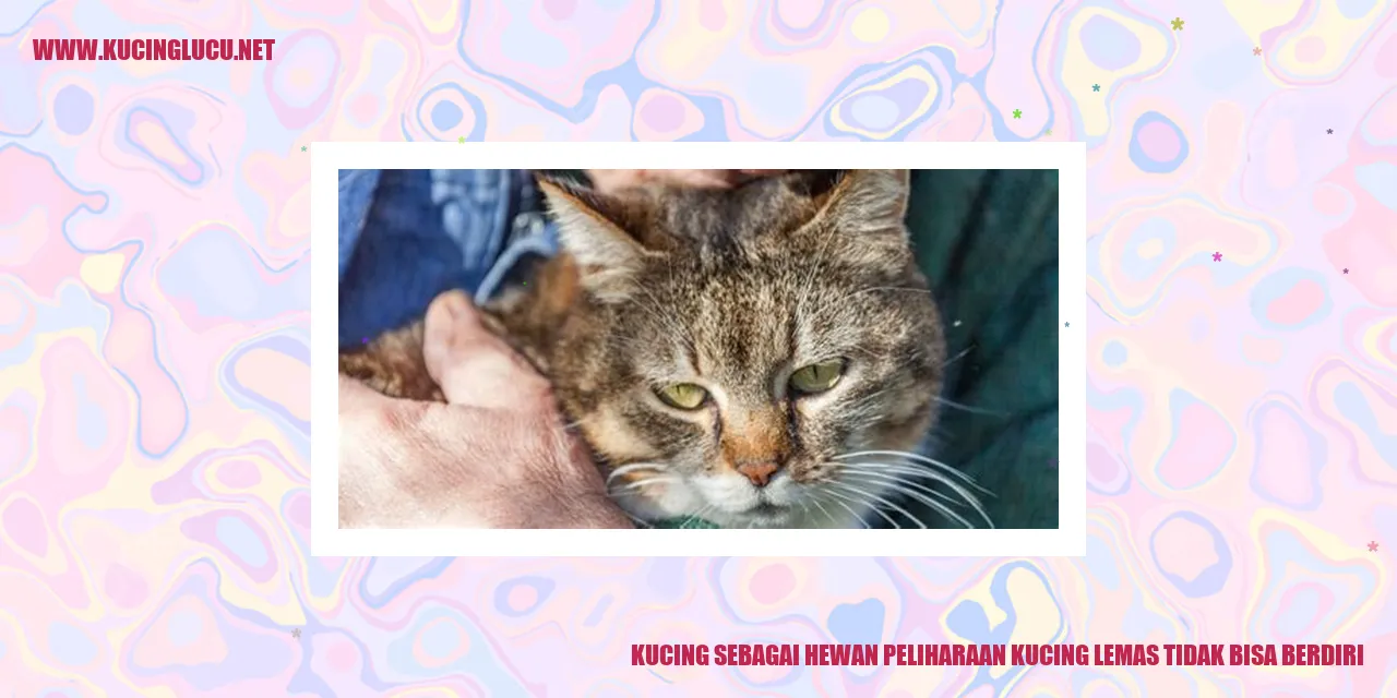Kucing sebagai Hewan Peliharaan