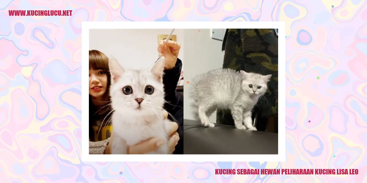 Ilustrasi Kucing yang Menggemaskan