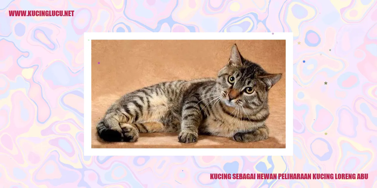 Kucing Loreng Abu