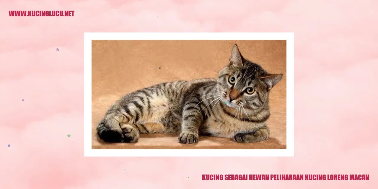Gambar kucing loreng macan yang indah
