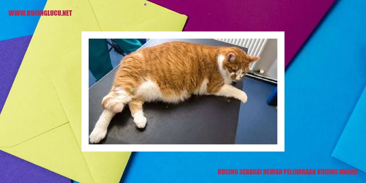 Kucing sebagai Hewan Peliharaan