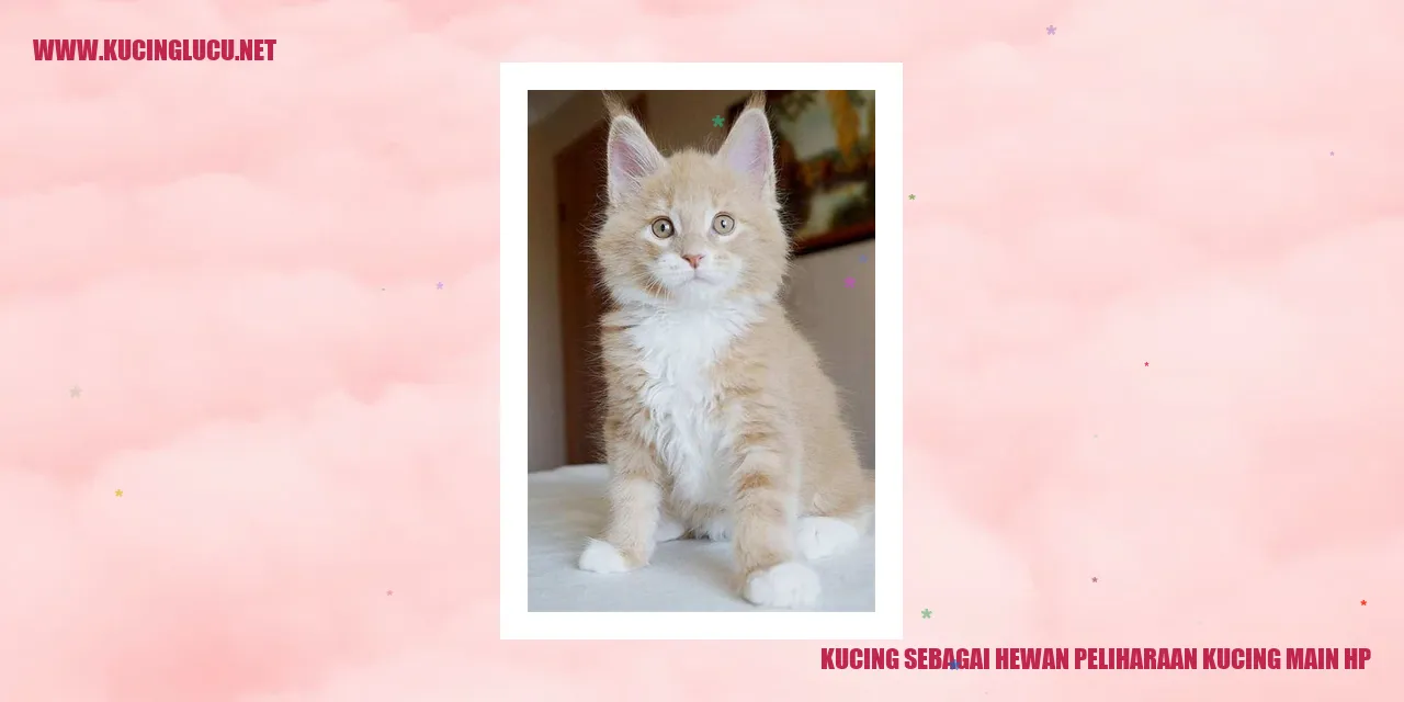 Kucing sedang bermain di atas handphone