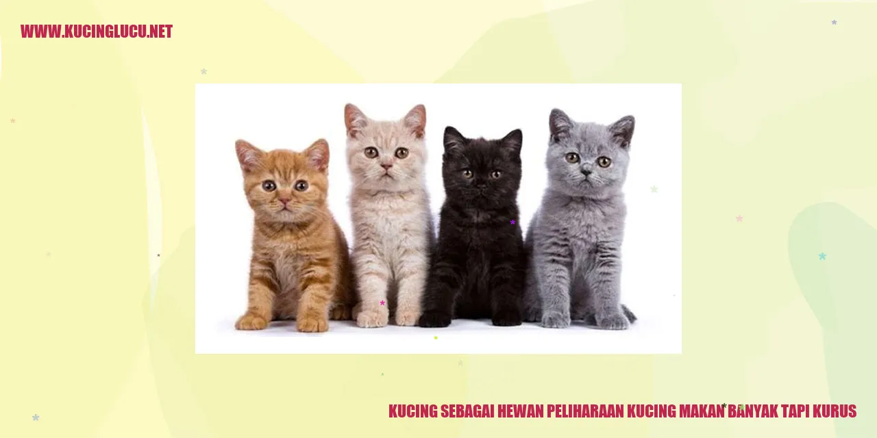 Gambar kucing makan banyak tapi kurus