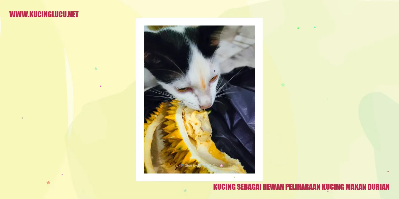 Gambar Kucing