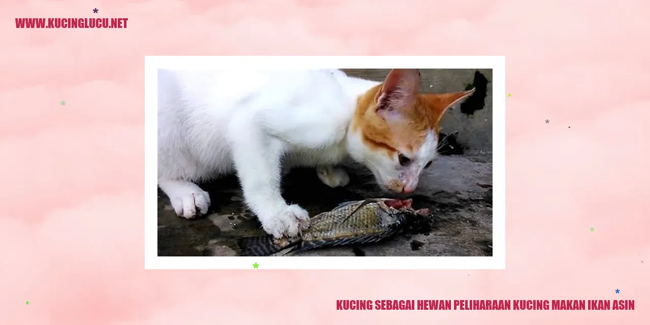 Kucing gemar menyantap ikan asin