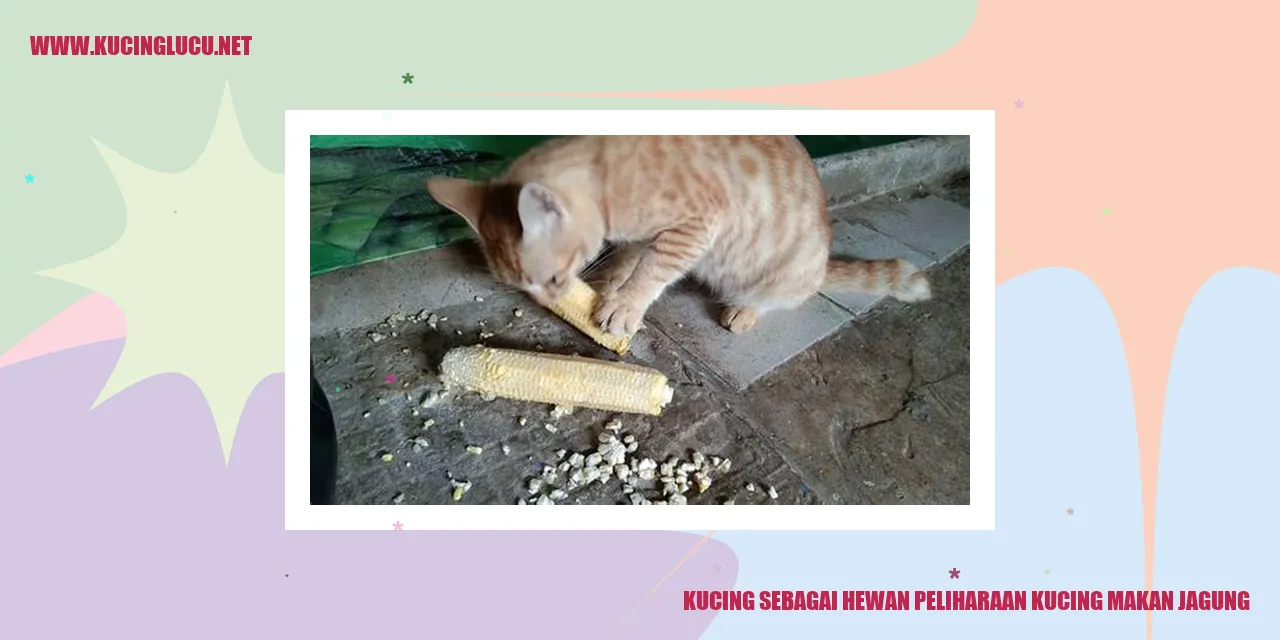 Kucing Makan Jagung