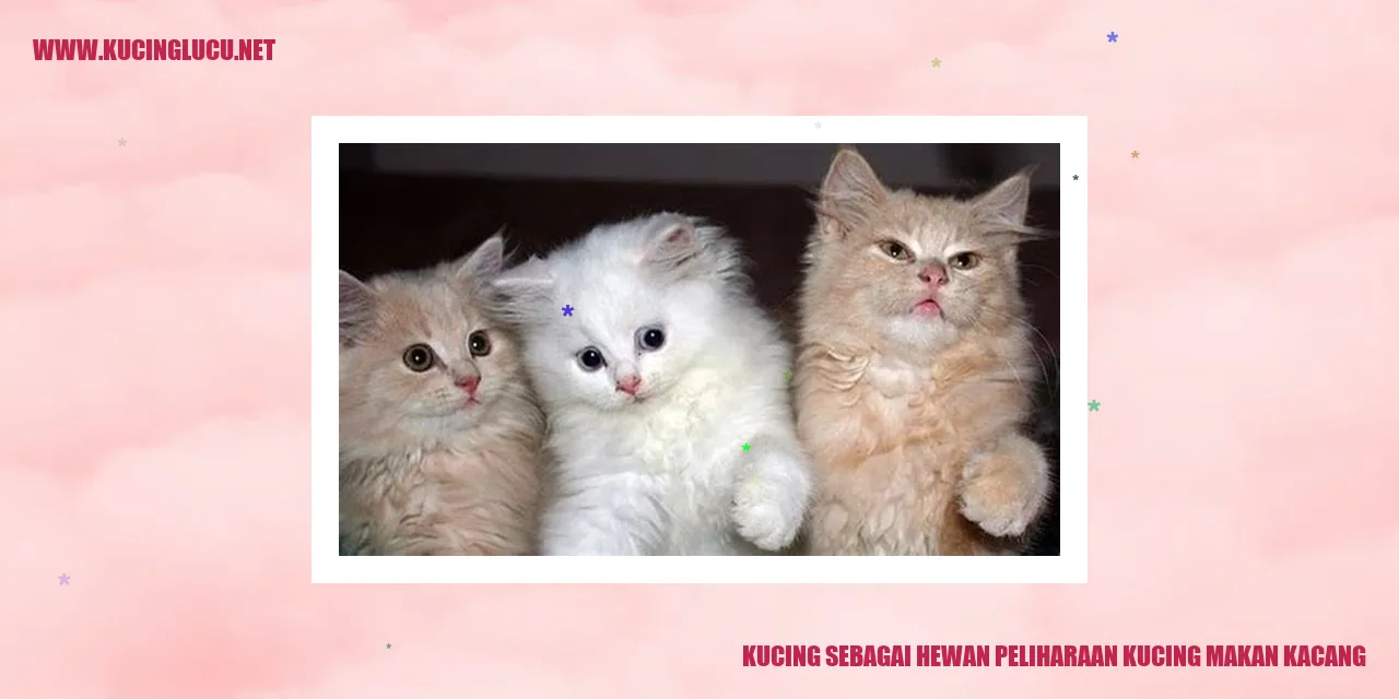 Gambar kucing makan kacang