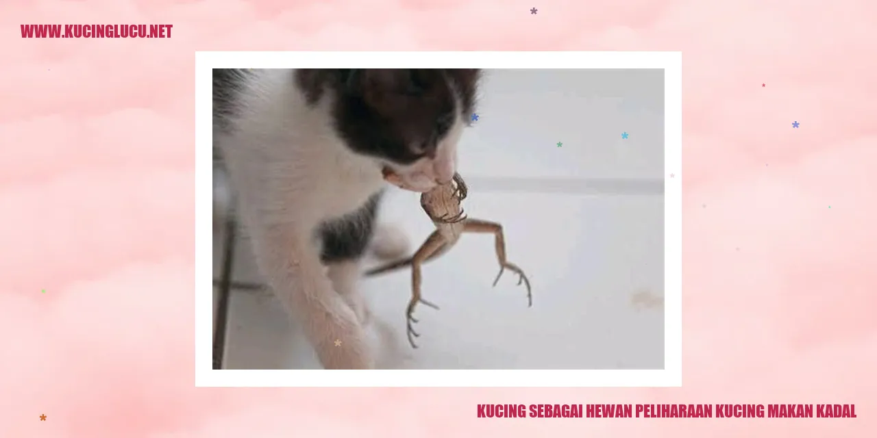 Gambar kucing sebagai hewan peliharaan