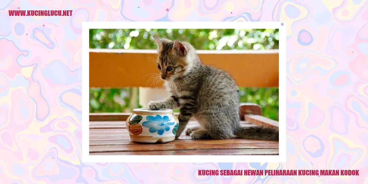 Gambar Kucing sebagai Hewan Peliharaan