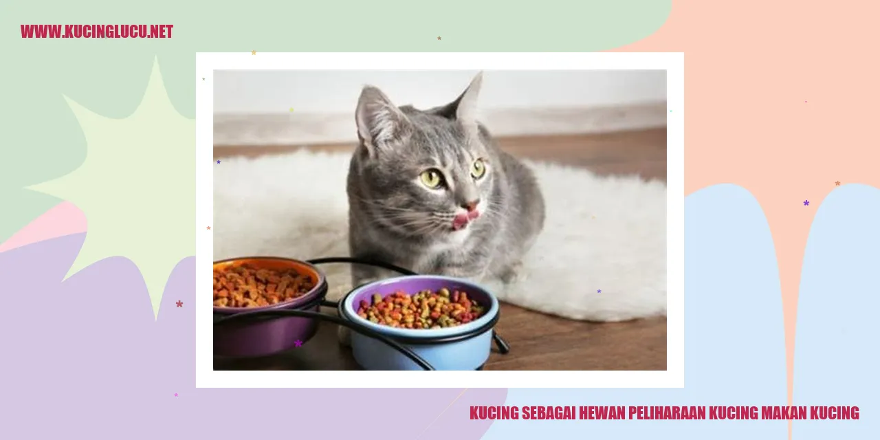Kucing sebagai hewan peliharaan makan kucing
