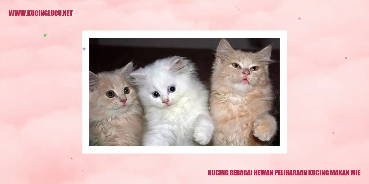 Gambar kucing sedang makan mie
