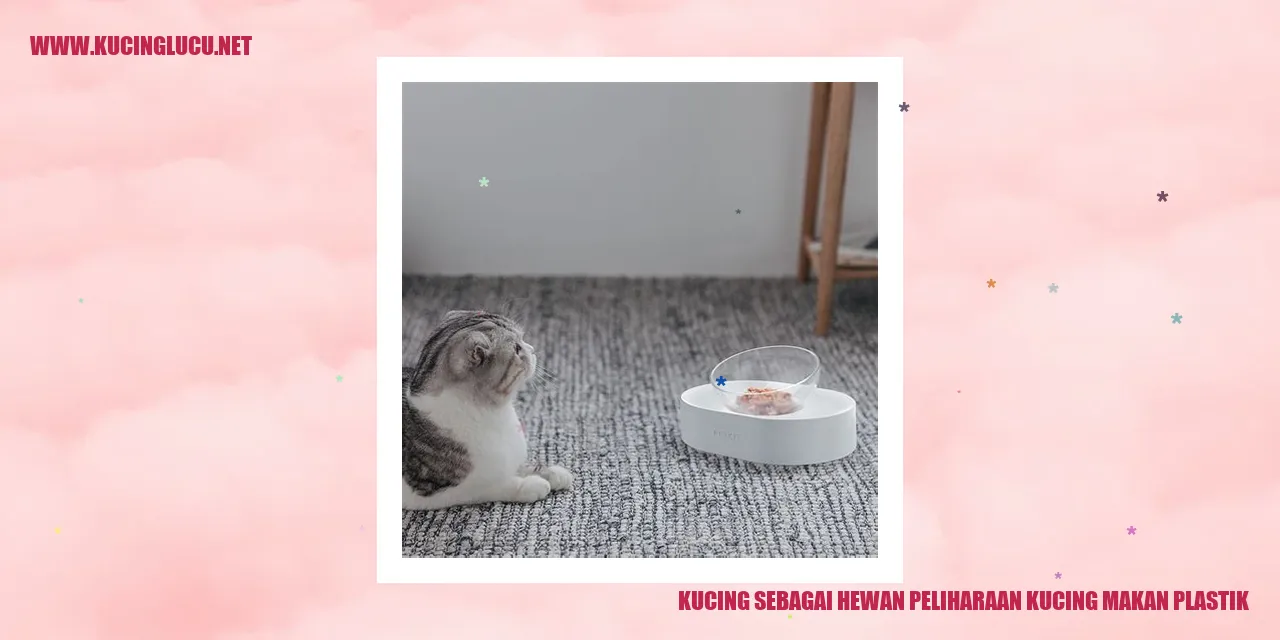 Gambar kucing