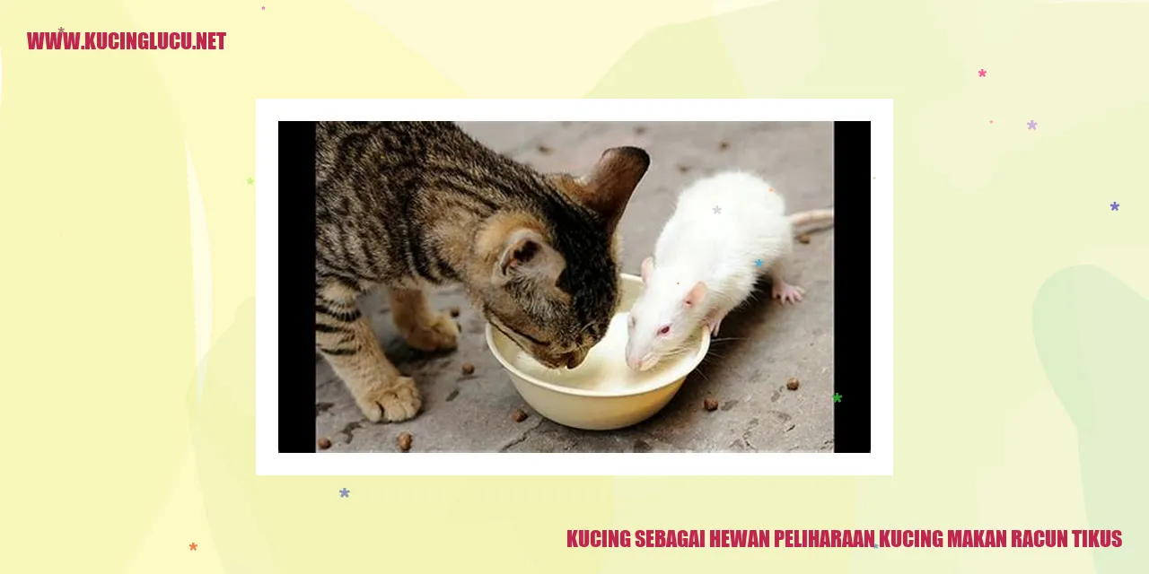 Gambar Kucing mengendalikan tikus