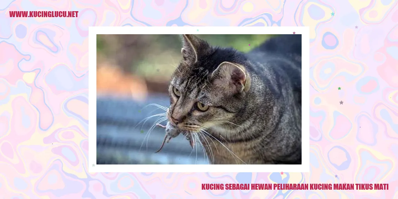Foto seekor kucing sedang memakan tikus mati