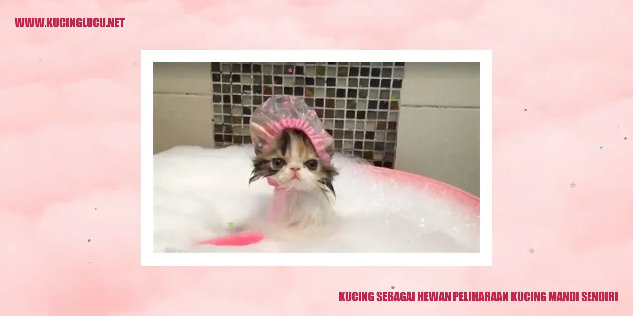 Kucing mandi sendiri