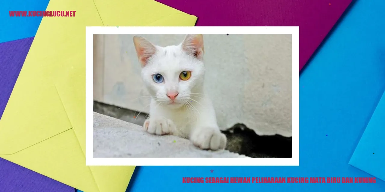 Gambar kucing dengan mata biru dan kuning