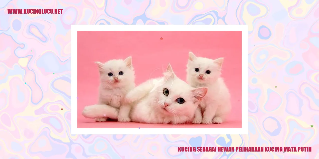 Kucing Mata Putih