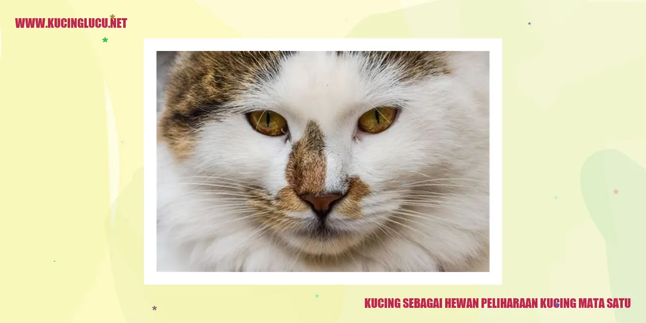 Kucing mata satu