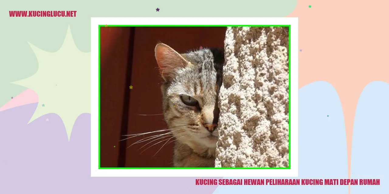 Gambar kucing sebagai hewan peliharaan