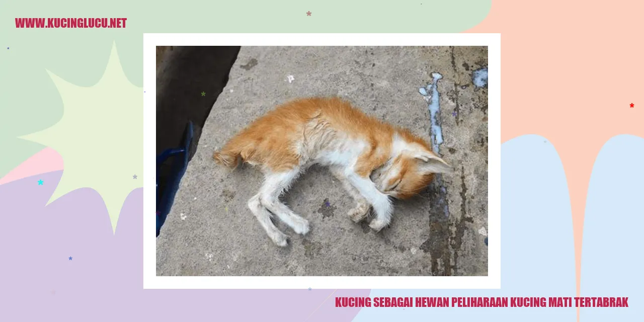 Gambar Kucing di jalan