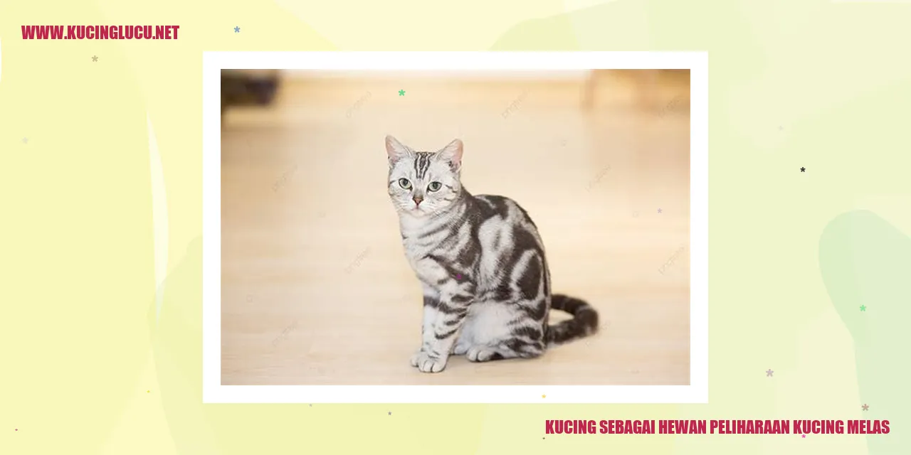 Kucing sebagai Hewan Peliharaan