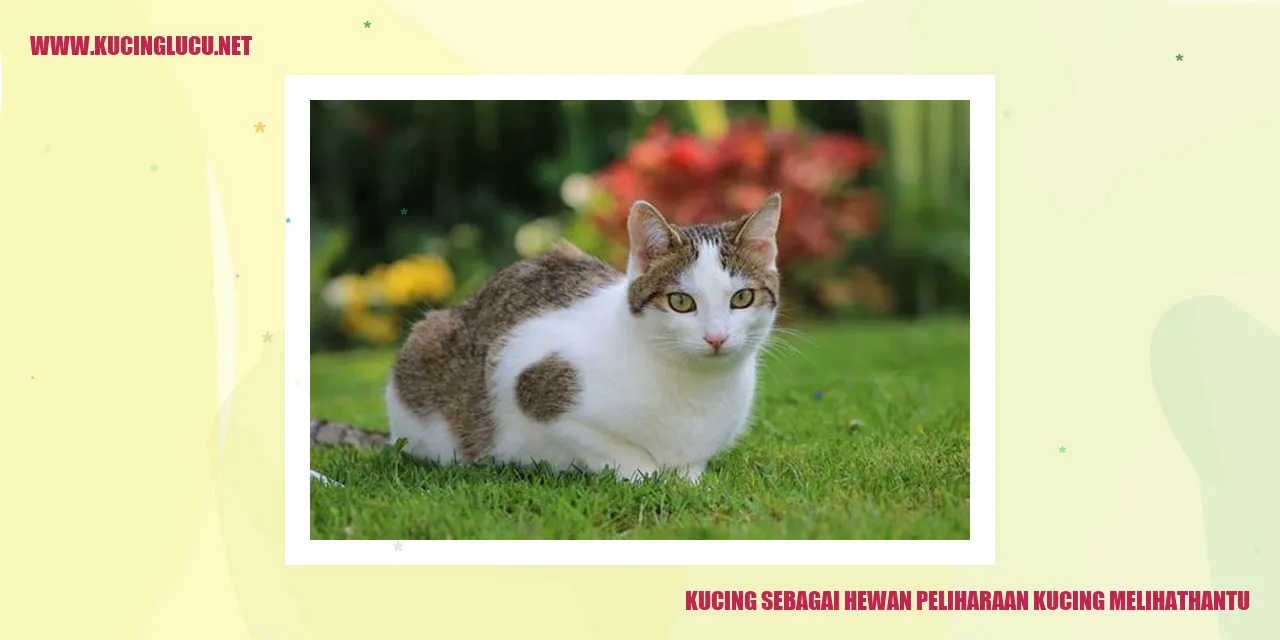 Ilustrasi Kucing