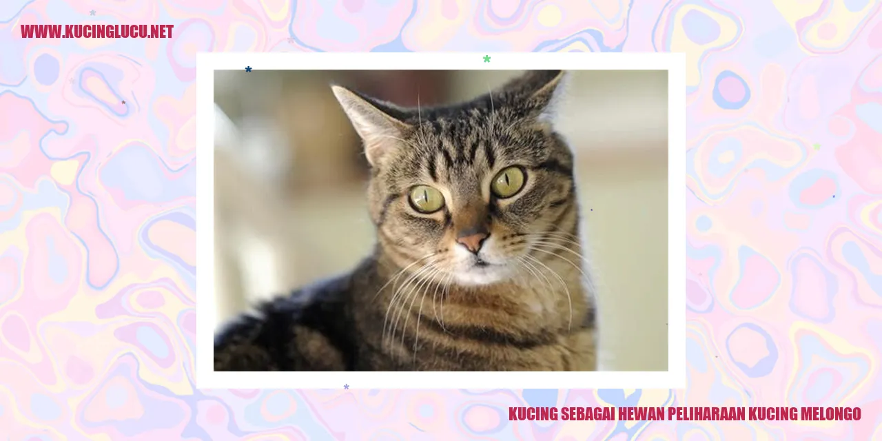 Kucing menggemaskan