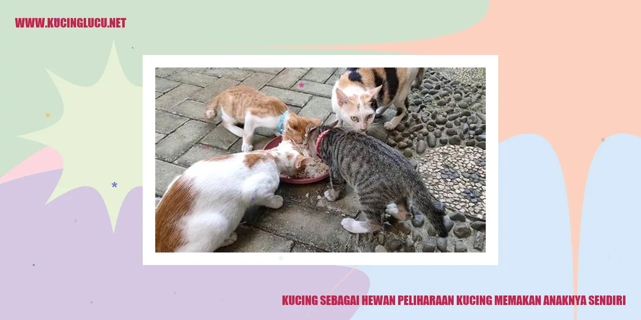 Kucing sebagai Hewan Peliharaan