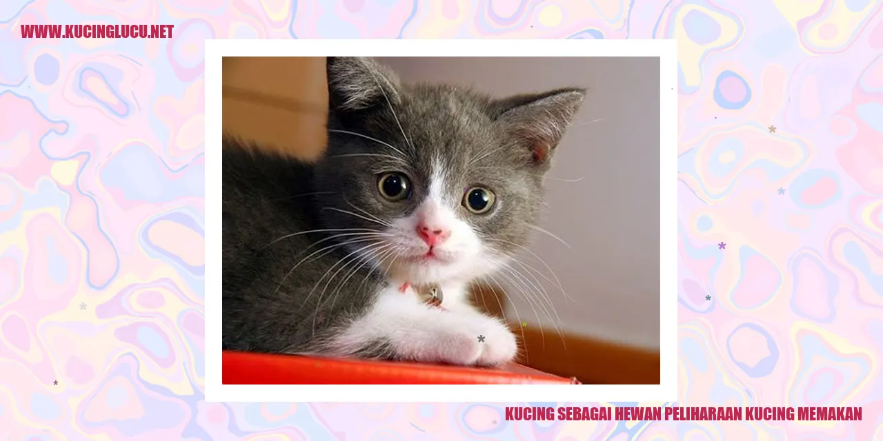 Gambar Kucing sebagai Hewan Peliharaan