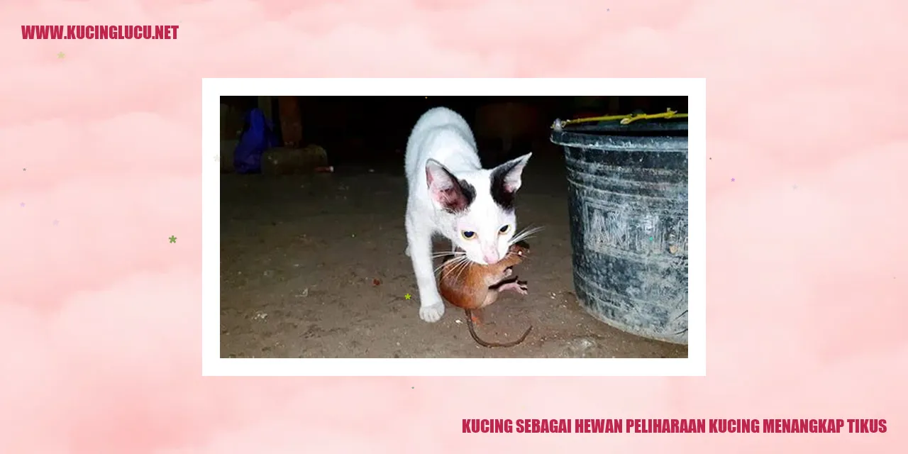 Kucing menangkap tikus