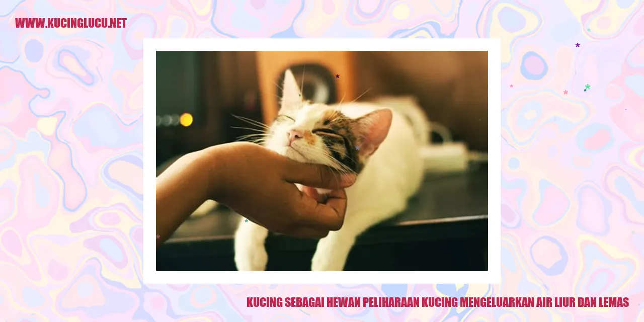 Sebuah gambar kucing yang menggemaskan